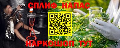 гидра Гагарин