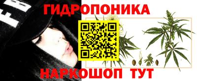 гидра Гагарин