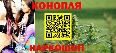 гидра Гагарин