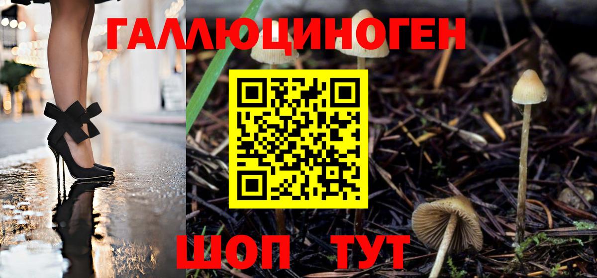 Назрань  Псилоцибиновые грибы прущие грибы  Вход с VPN 